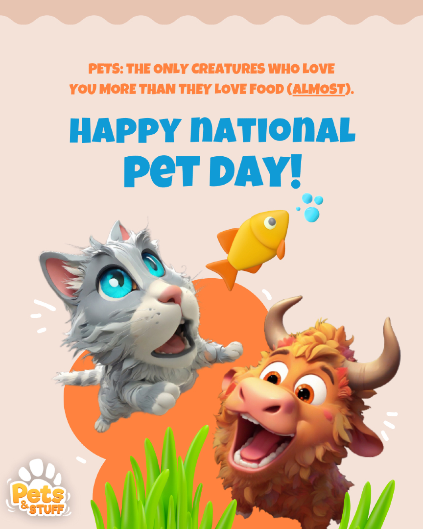 HyperVR Games tweet media