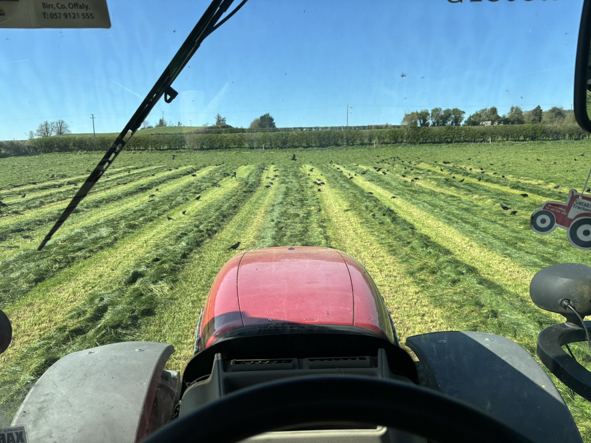 Frank Hyland tweet media