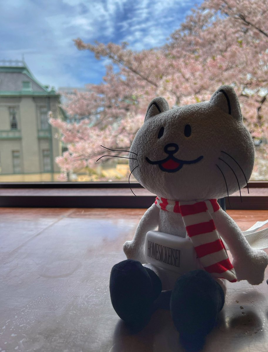 mr_beaver3892's tweet photo. 藤くん46回目のバースデー🎂
おめでとうございます(((o(*゚▽゚*)o)))
来年の30周年ツアー(仮)で
会えるのを楽しみにしてます!!
生まれてきたことに意味があるのさ!
by藤原基央
#HBDF
#HBD藤くん
#藤原基央
#藤原基央誕生祭
#BUMPOFCHICKEN https://t.co/dCgZD6SZJW