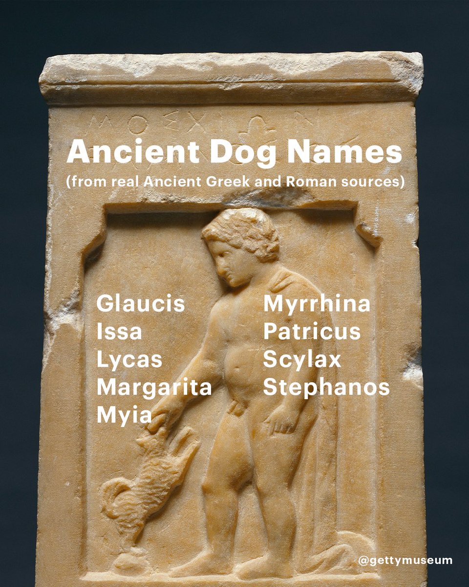 Genuine ancient dog name inspo for all the pet owners out there. What's the name of your new best friend? 🐕