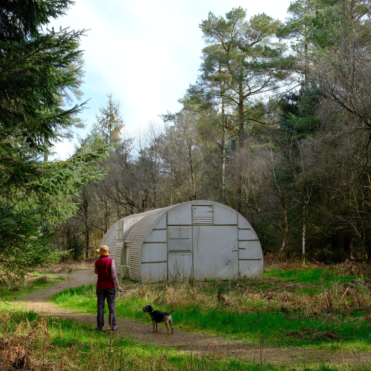 This morning, a walk on Adderstone Rigg: a vapour trail in the sky above the corrugated iron-roofed shelter &amp; a look at Rachel Whiteread's 'Nissen Hut' - always a pleasure.