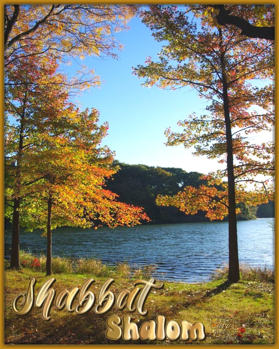 MVCquotes's tweet photo. Whichever day you picked as your seventh day, spending it with Father and keeping it Holy as He asked ― have a Blessed one.

#mvcquotes #YHWH #AbbaFather #ALMIGHTYGOD #HOSTofHosts #AncientOfDays #YeshuaHaMashiach #MessiahJesusChrist #TheWayTruthLife
🌼🤗💛⚘🕊 https://t.co/N8qZp7ZLRP
