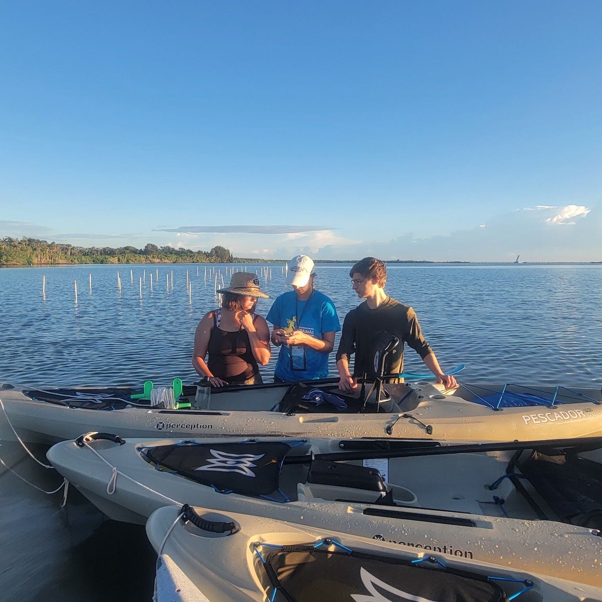 ARochaUSA's tweet photo. Great news from the Indian River Lagoon! Brevard Zoo is planting seagrass to help restore this vital habitat for manatees, pipefish, and more.

A Rocha USA has supported the Zoo’s seagrass research, and we’re excited to see these efforts come together for a healthier ecosystem! https://t.co/QkFUP9LnXf