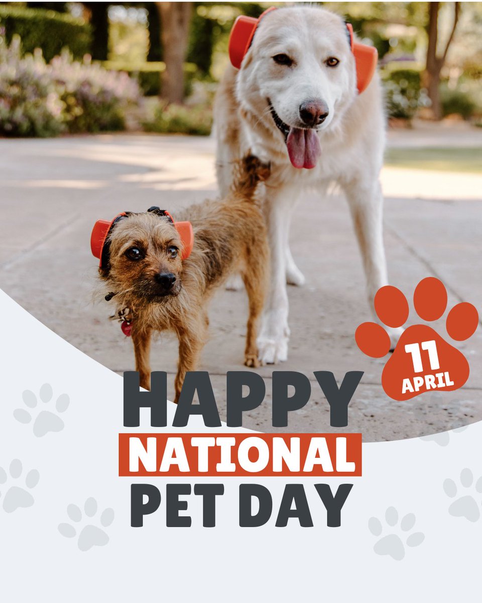 Happy National Pet Day! Today is all about celebrating the furry (and scaly, and feathery) companions that fill our lives with joy. Take a moment to show your pet some extra love—whether it's a long walk, extra treats, or just some quality cuddle time. 

l8r.it/KdO5