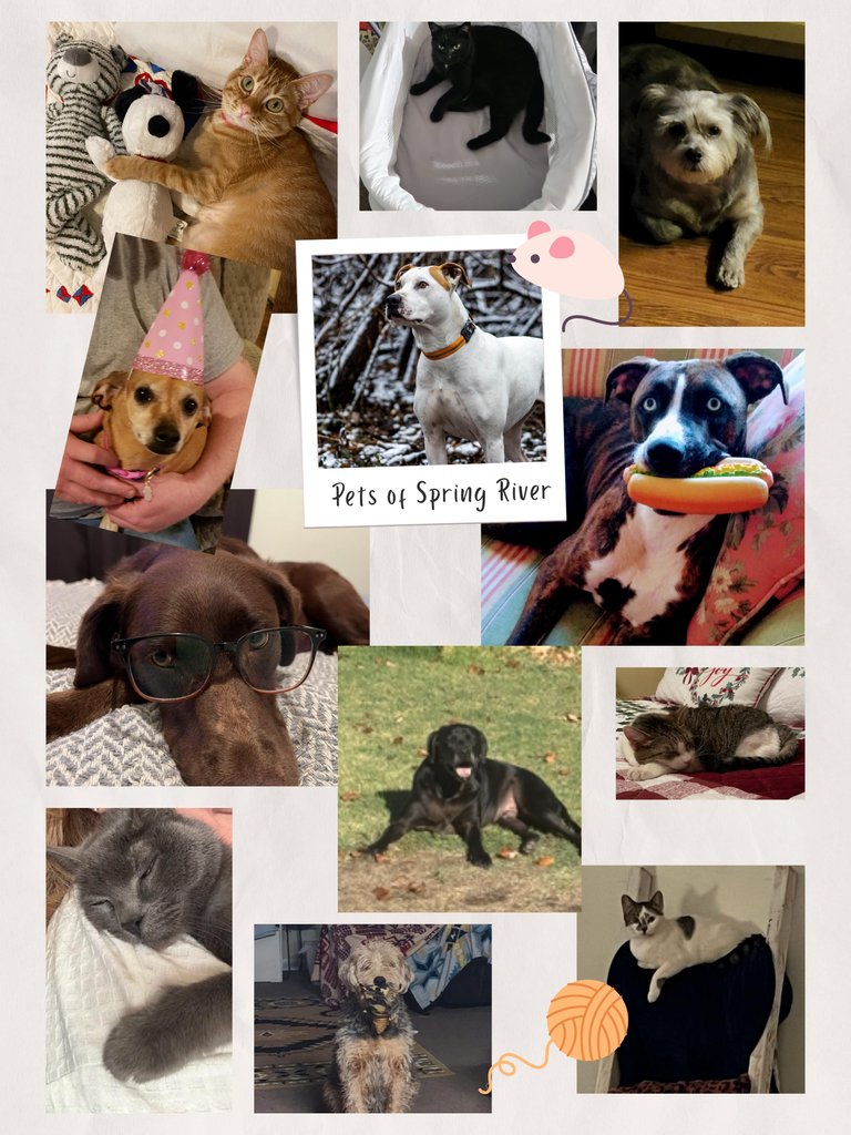SRMHW's tweet photo. Happy National Pet Day! Meet the Pets of Spring River that bring our extraordinary SRMHW staff joy every day! 

#SRMHW #NationalPetDay #Pets #PetsofSpringRiver https://t.co/nss4PVWpz9