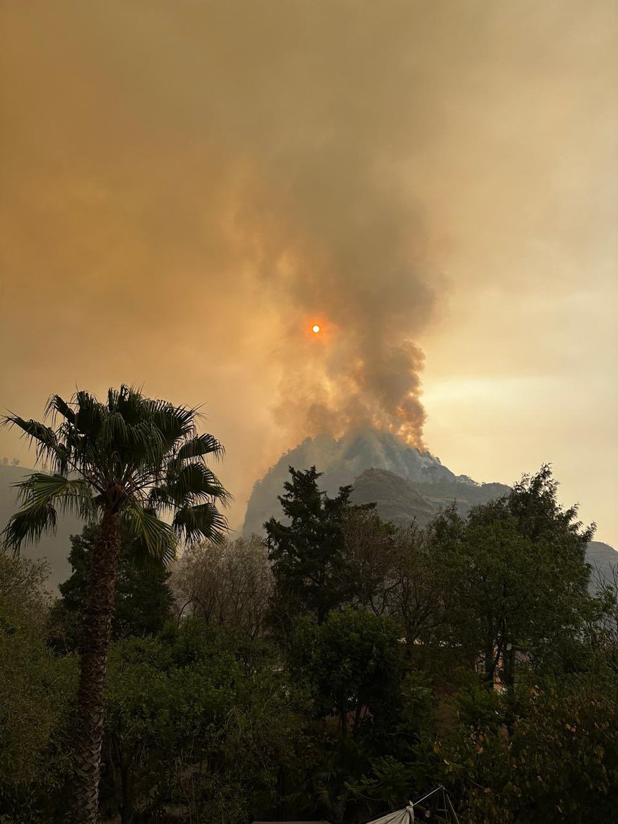 AleMiCa3's tweet photo. @Claudiashein @GobiernoMorelos @GN_MEXICO_ @SEMARNAT_mx  @CONAFOR ni un helicóptero han enviado para mitigar el fuego en Santo Domingo ocotitlan. El fuego está llegando a casa de los pobladores.
¿Qué están esperando? https://t.co/NXD8PtM2jF