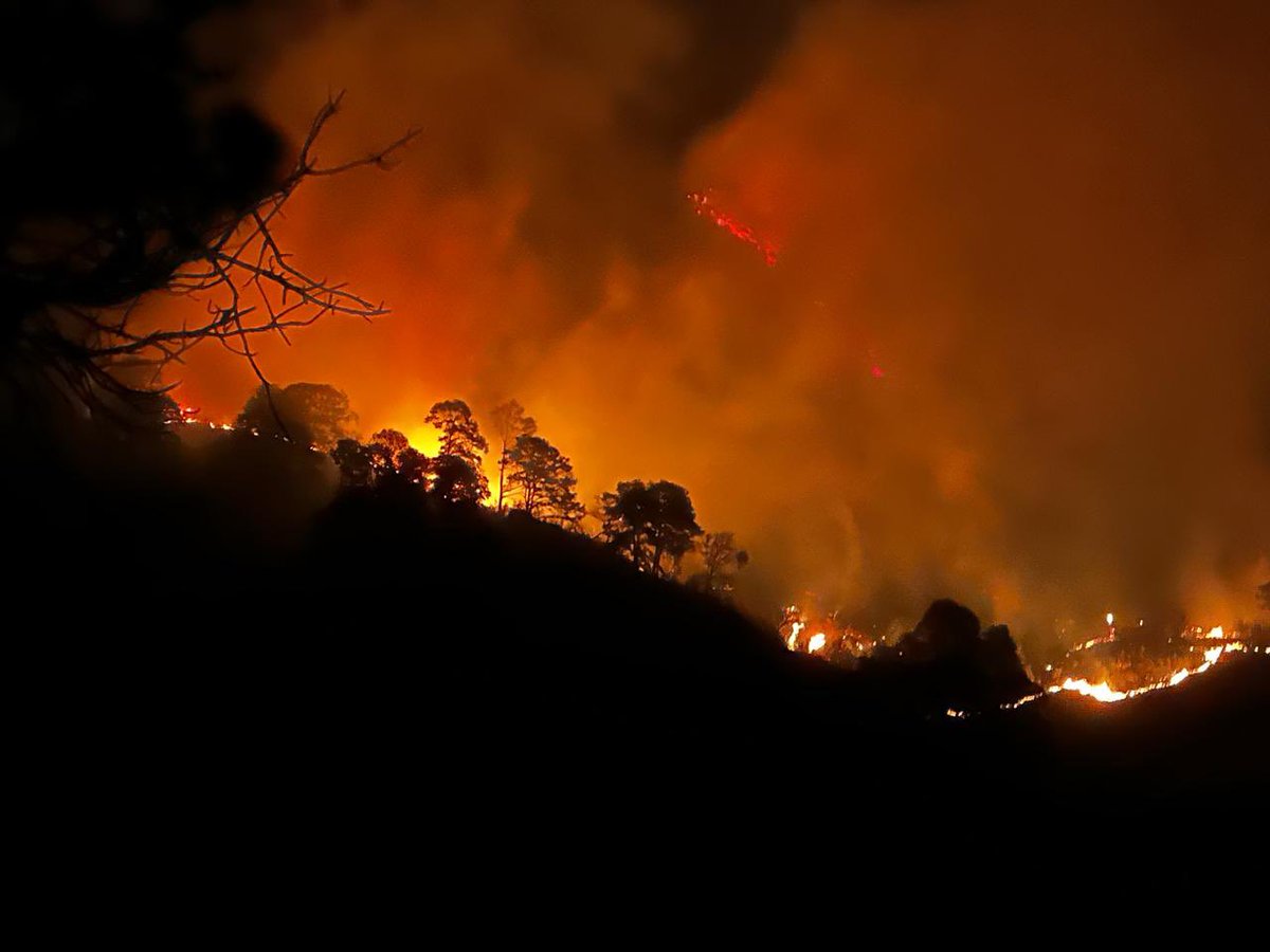 AleMiCa3's tweet photo. @Claudiashein @GobiernoMorelos @GN_MEXICO_ @SEMARNAT_mx  @CONAFOR ni un helicóptero han enviado para mitigar el fuego en Santo Domingo ocotitlan. El fuego está llegando a casa de los pobladores.
¿Qué están esperando? https://t.co/NXD8PtM2jF