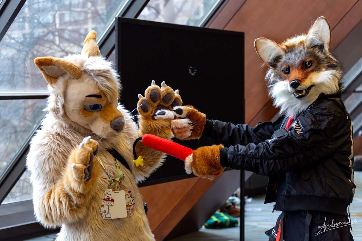 Tobee Coyotee (@tobeecoyotee) on Twitter photo Can't find the roadrunner, I guess this fox will have to do. #FursuitFriday
π¦: Altair
πΈ: <a href="/AndromedusWolf/">Andromedus</a> Can't find the roadrunner, I guess this fox will have to do. #FursuitFriday
π¦: Altair
πΈ: <a href="/AndromedusWolf/">Andromedus</a>