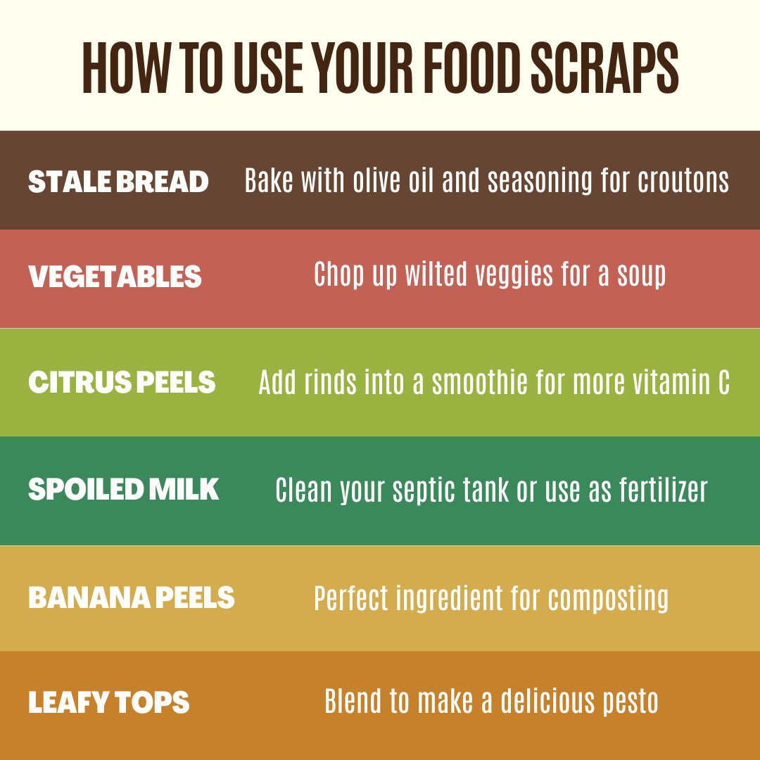 Think again before tossing out food scraps!🍊🥕There are so many ways to give them a second life, and we’re sharing a few of our favorites. Maximizing your groceries helps you save money and the planet!🌏 #FoodWastePreventionWeek