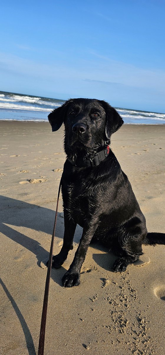 U.S. Marshals Service tweet media