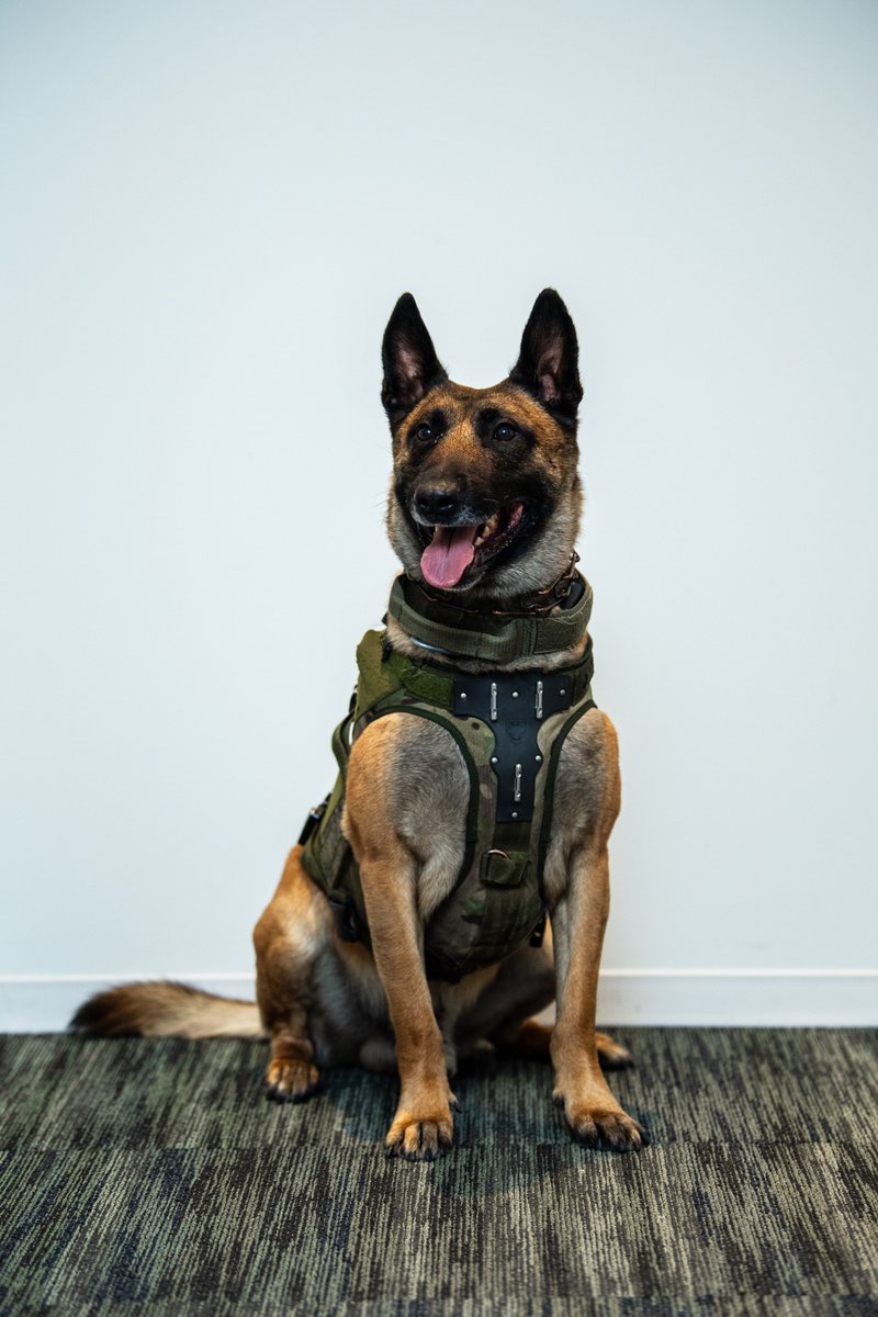 U.S. Marshals Service tweet media