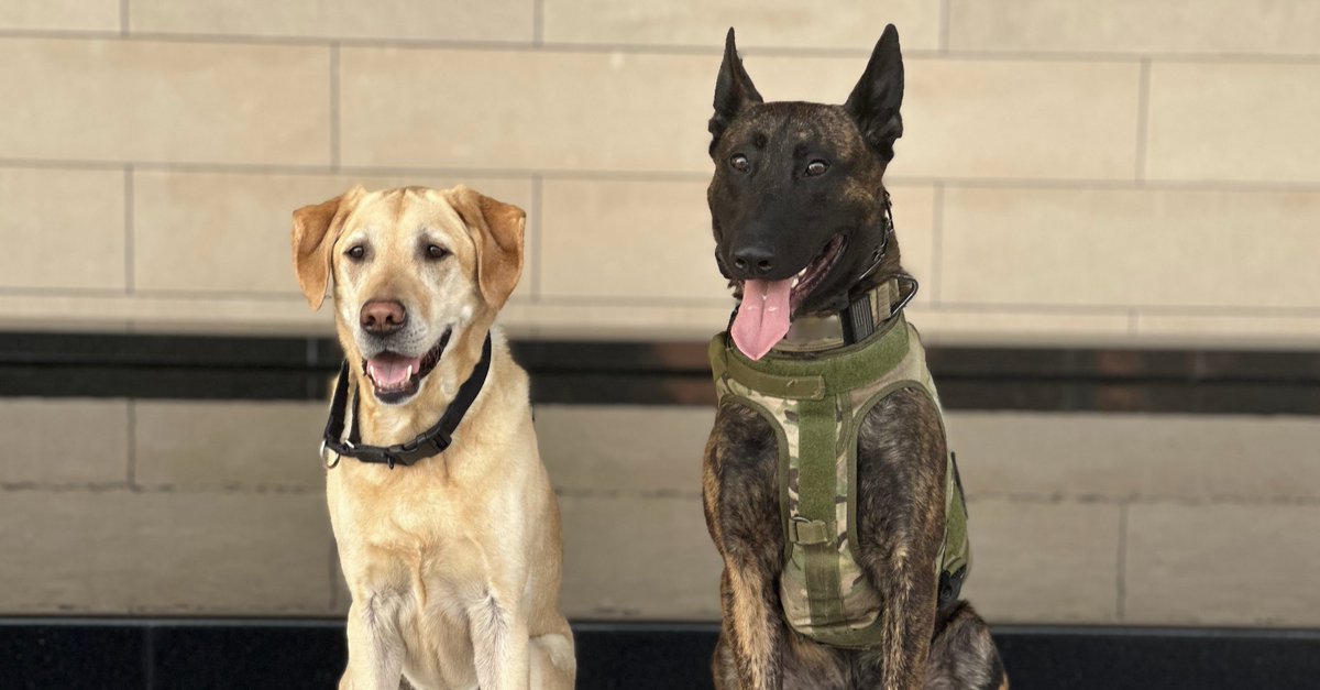 U.S. Marshals Service tweet media