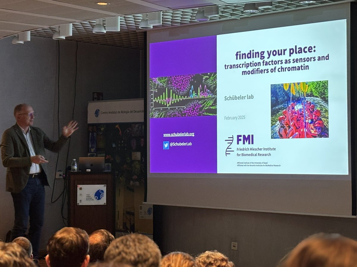 Centro Andaluz de BiologĆa del Desarrollo (@cabd_upo_csic) on Twitter photo Magnificent talk today at #CABDseminars by Dirk Schüleber!
Dirk explained the studies of his team understanding how transcription factors work as sensors and modifiers of chromatin. Prof. Schübeler was hosted by <a href="/bogdanoviclab/">Ozren Bogdanovic</a>, one of the first lab members.
Thanks for coming! Magnificent talk today at #CABDseminars by Dirk Schüleber!
Dirk explained the studies of his team understanding how transcription factors work as sensors and modifiers of chromatin. Prof. Schübeler was hosted by <a href="/bogdanoviclab/">Ozren Bogdanovic</a>, one of the first lab members.
Thanks for coming!