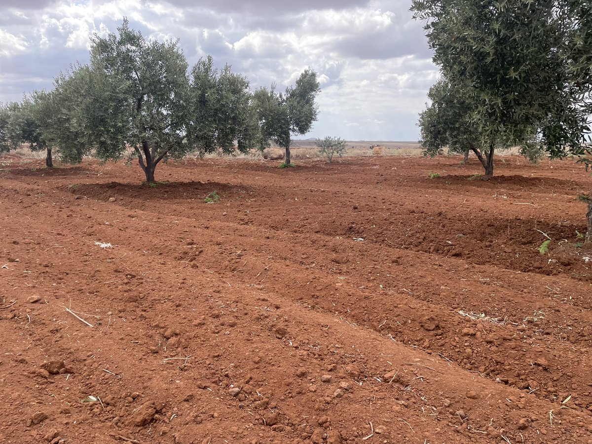 ترتيل tweet media