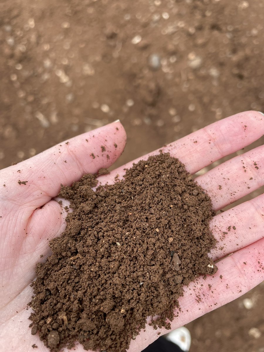 ترتيل tweet media