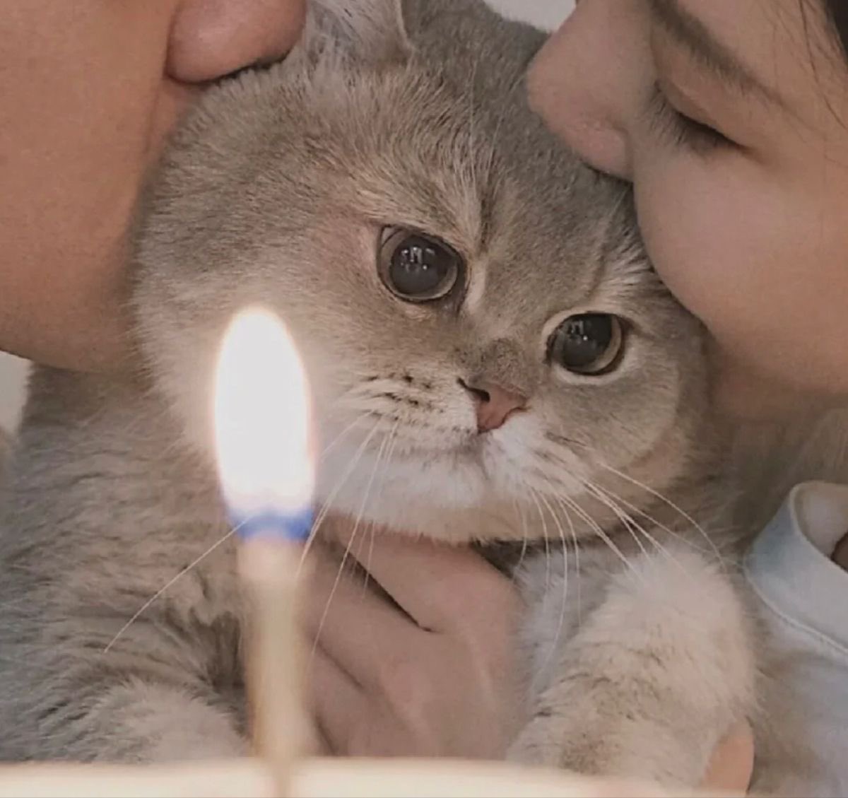 my meow meow 🎂😽