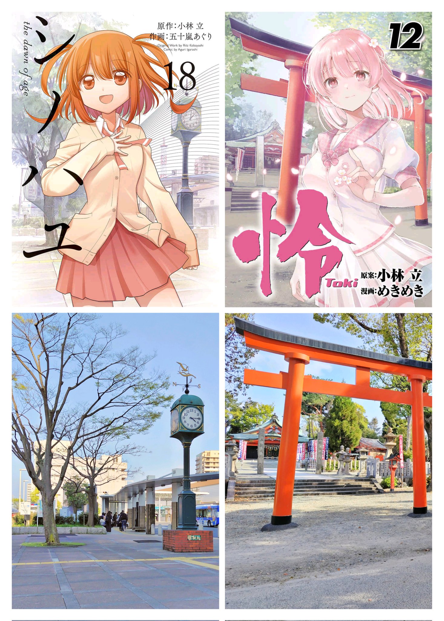【中古】 いろんな季節にバラは咲く/白泉社/萩森千聖 花のギフト社 啓翁桜 さくら 桜 10本 花束 切花 生花 サクラ 花