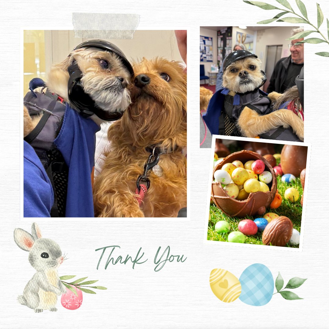Rhowdhi, the MICT (ICT support company) dog popped into the Feelgood Factory with a donation of Easter Eggs for local children.  Rhowdi was met by the Feelgood dog, Hettie, who expressed her heartfelt thanks on behalf of us all.

Once again, many thanks to MICT (and Rhowdhi).