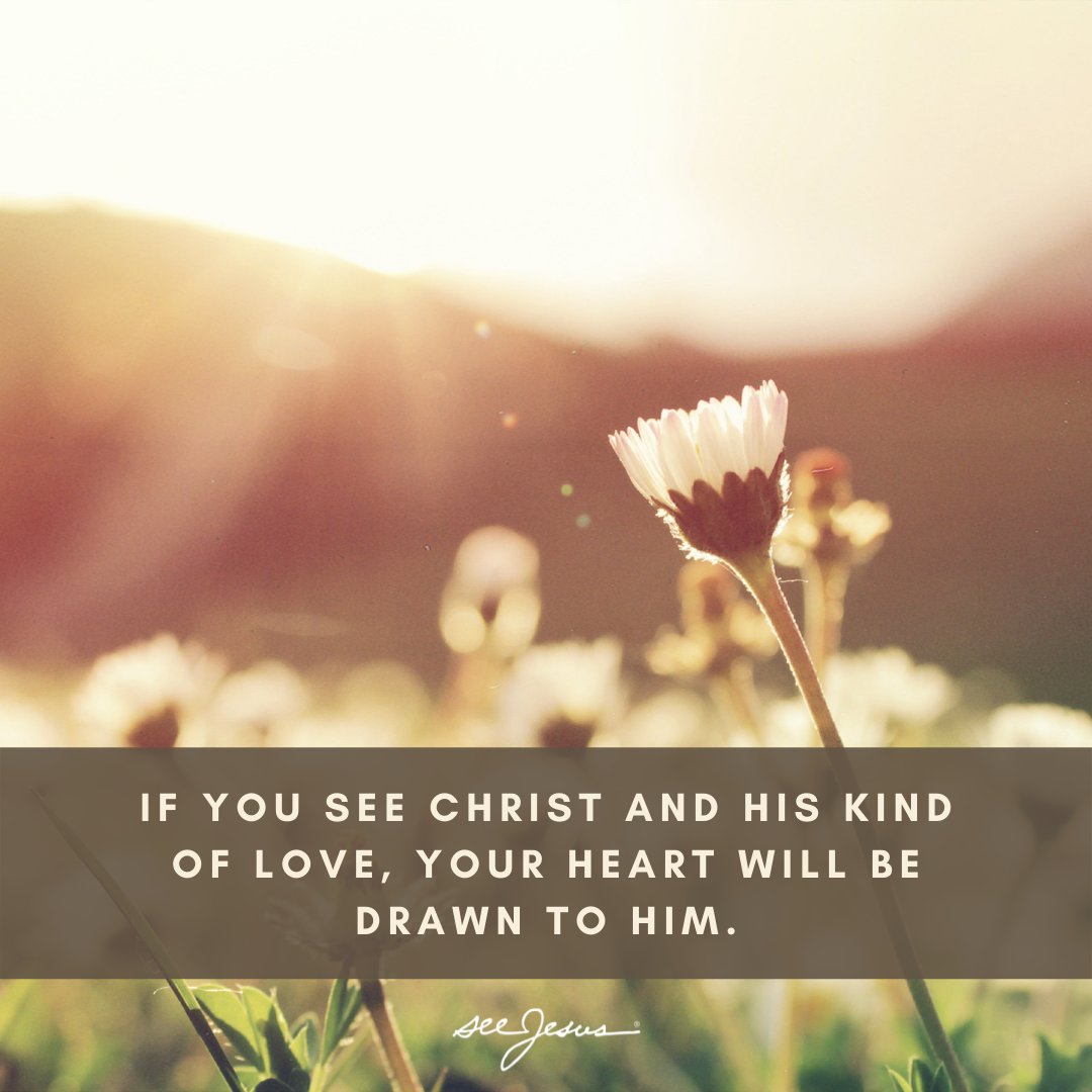 We hope that our reflections during Passion Week have helped you see Christ.

If you see Christ and his kind of love, your heart will be drawn to him anew and that God’s Spirit, the Spirit who wants to make you like Jesus, will grow your yearning to have your life mirror his.