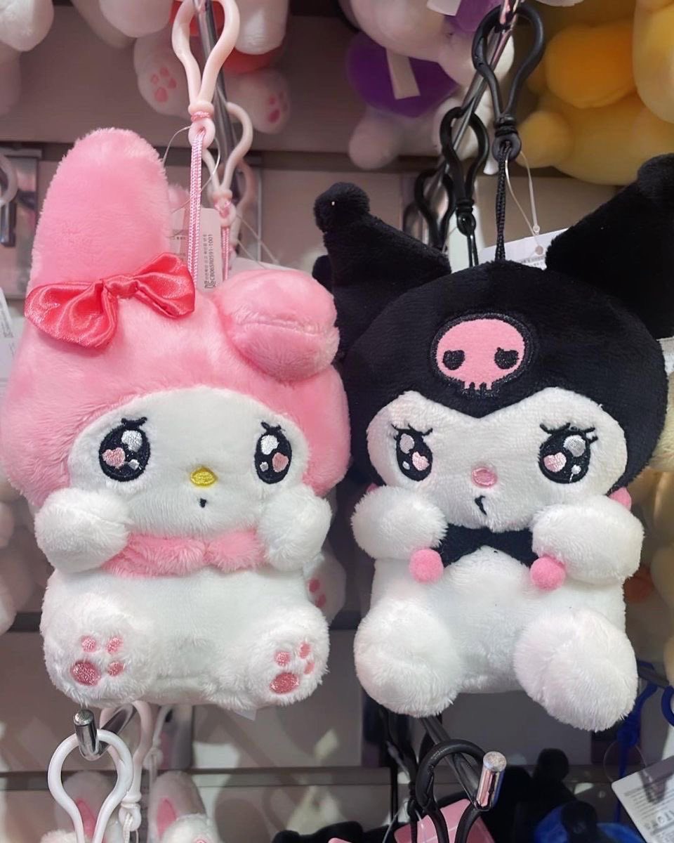my melody and kuromi 💫