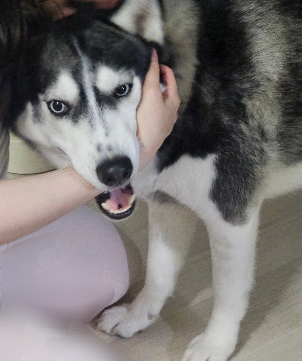 태 호 가 처 몰 랐 던 사 실.
누 나 는 터 그 가 아 닌 니 다.