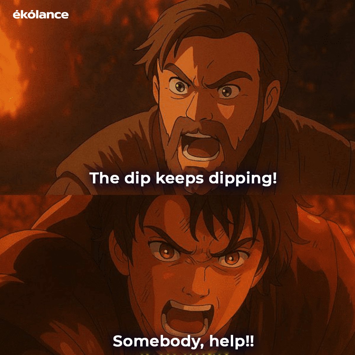 EKOLANCE tweet media