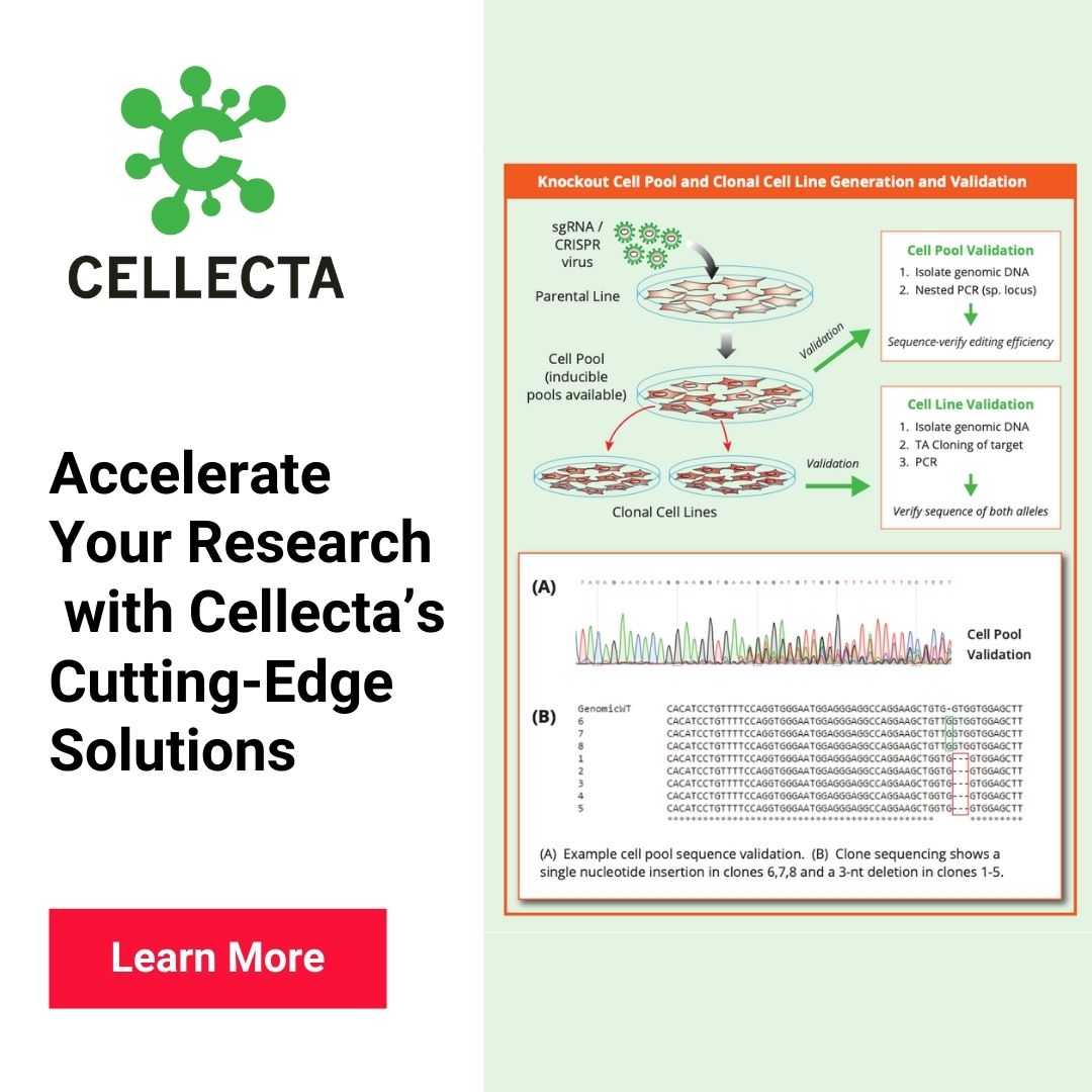 CELLECTA's tweet image. Accelerate your discoveries with Cellecta’s advanced cell engineering services. cdn.shopify.com/s/files/1/0011…

#CRISPRSolutions #GeneProfiling #CustomCellLines #FunctionalGenomics #BiotechInnovation #Cellecta
