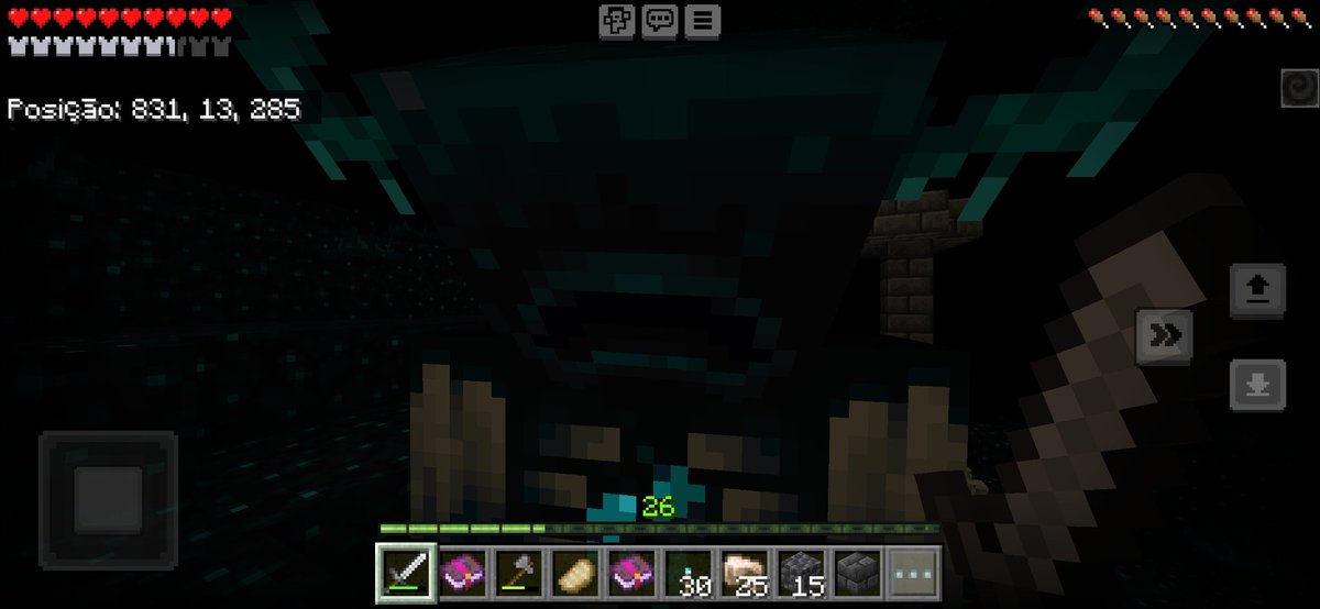 Gato_Rox0's tweet photo. ... #MultiSMP https://t.co/8oSWQvNZLn