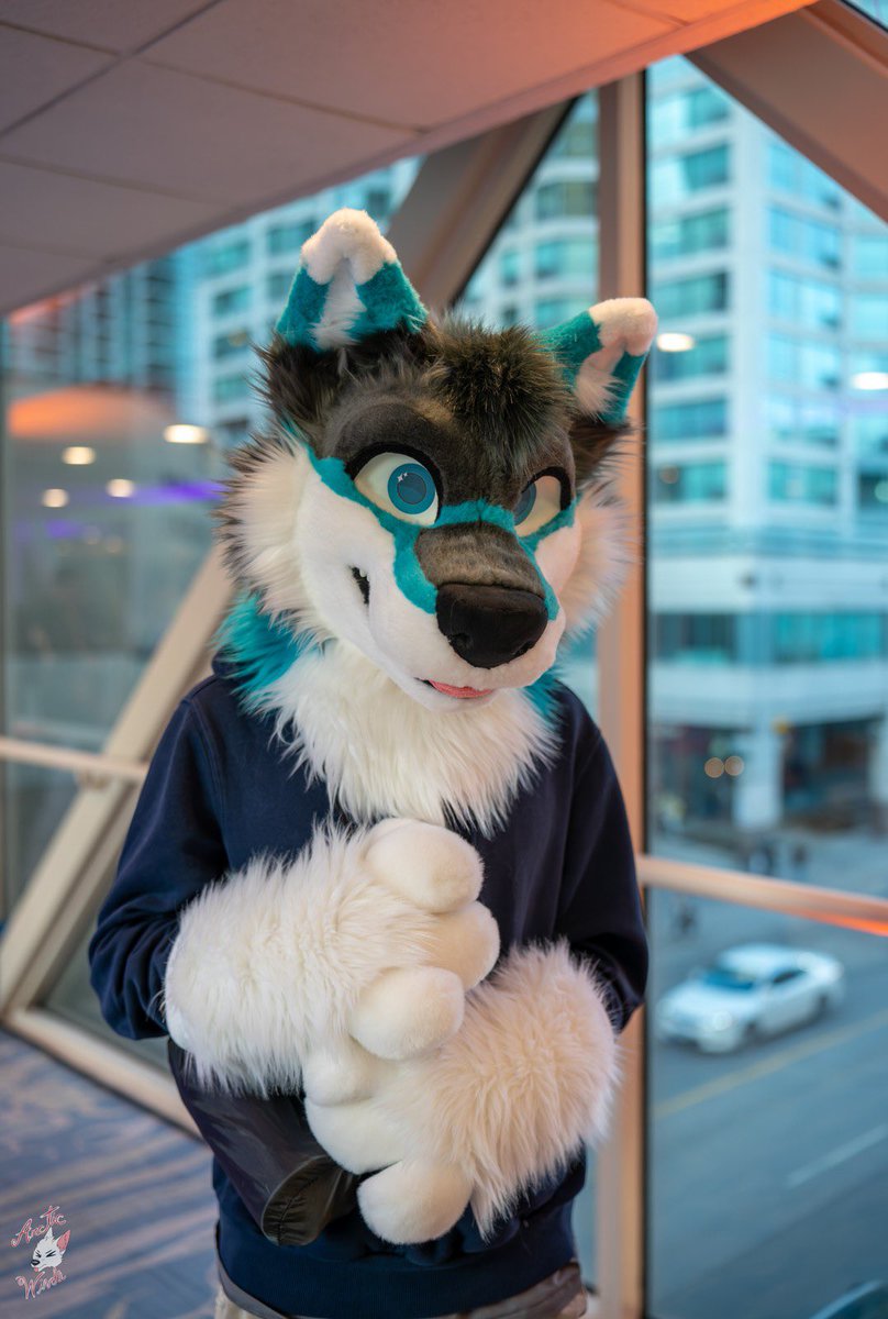 benjiwolf's tweet photo. I miss FE 😔 

#fursuitfriday https://t.co/reUnx9UHCS