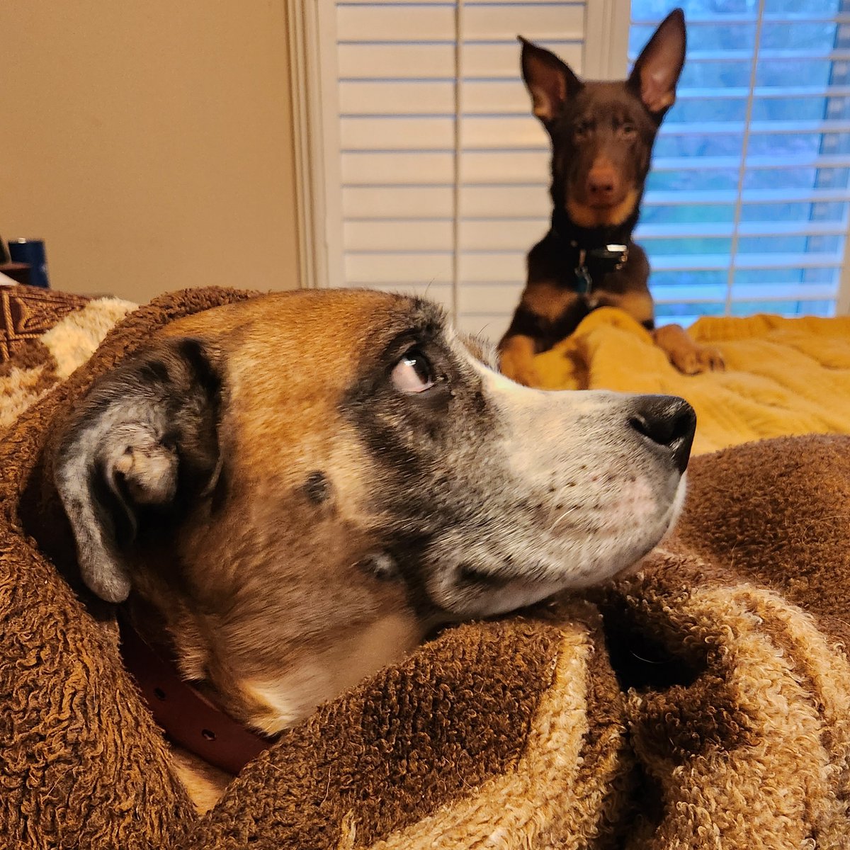 Tico Productions LLC tweet media