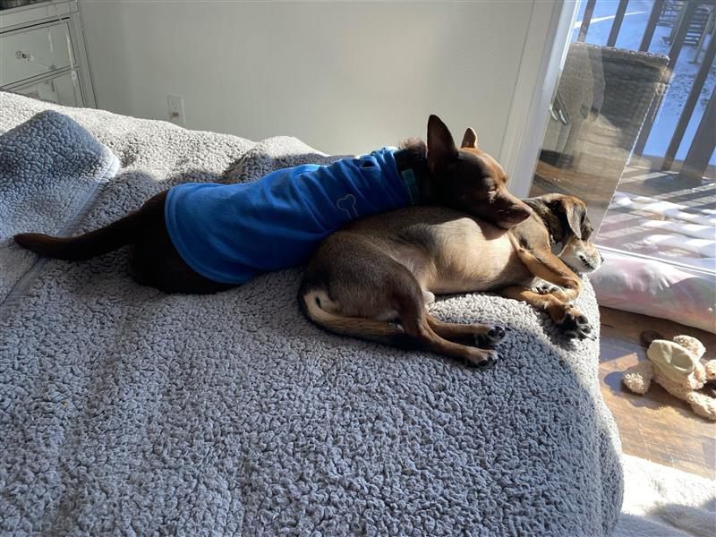 Tico Productions LLC tweet media