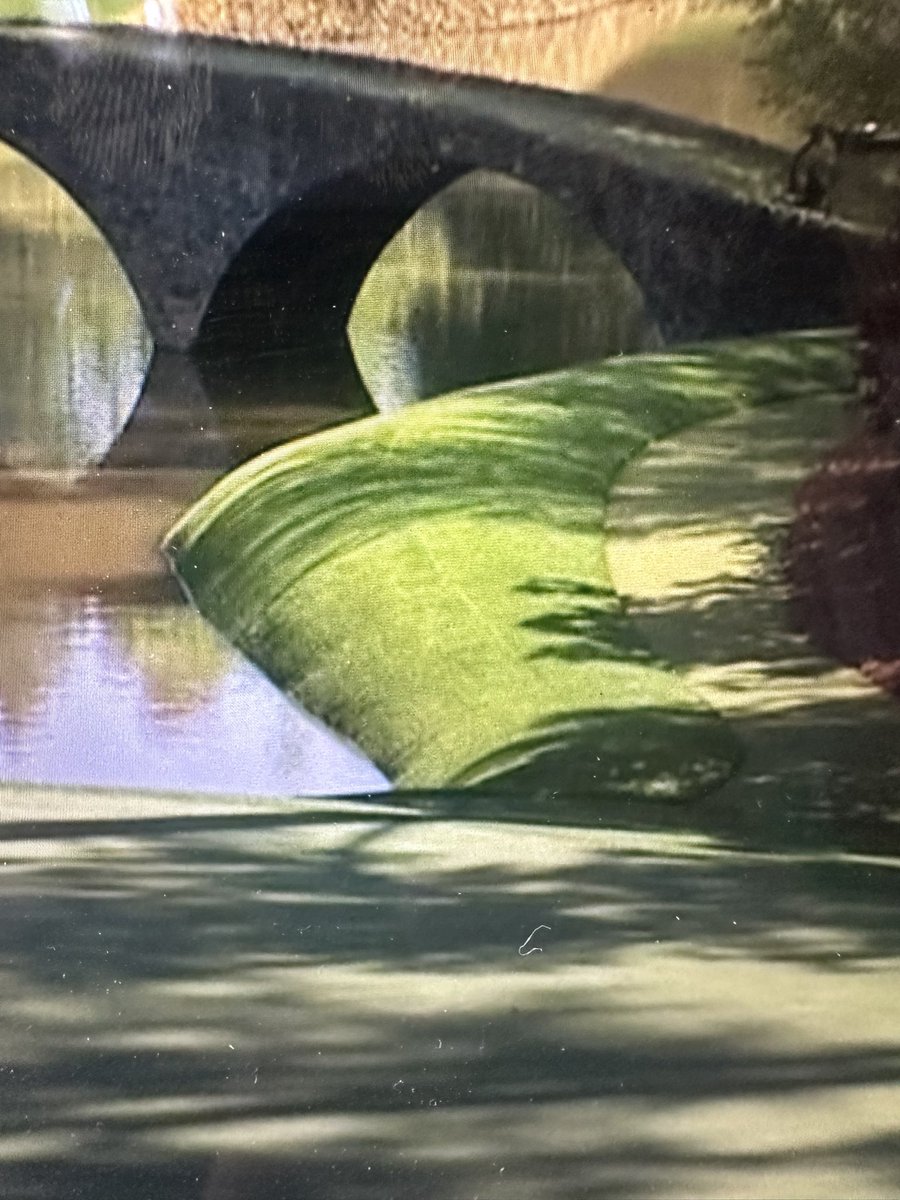 Let’s look at The Masters through a different lens. How do they mow the sides of these hills?? Amazing.