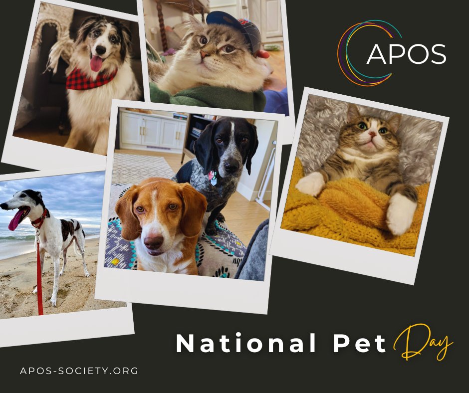 APOSHQ's tweet photo. It's #NationalPetDay today and #APOS loves our pets! Calling all MEMBERS who have PETS...want them to be featured in an upcoming #APOSUpdates newsletter? Email us at info@apos-society.org today ππππ§‘ππΆπ±π·π’ #psychosocialoncology #cancer https://t.co/NlzHiGvSft