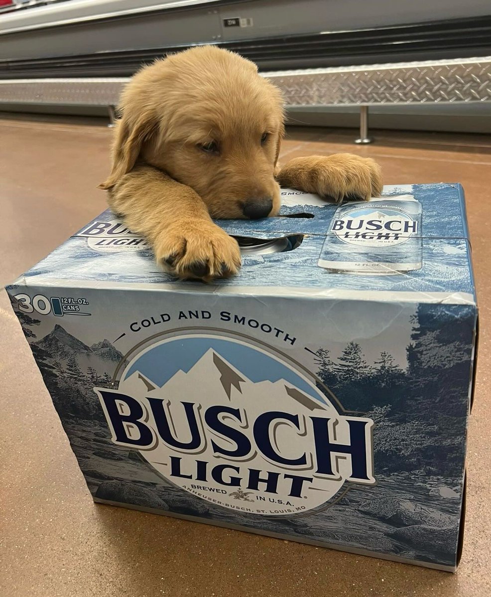 Busch Beer tweet media