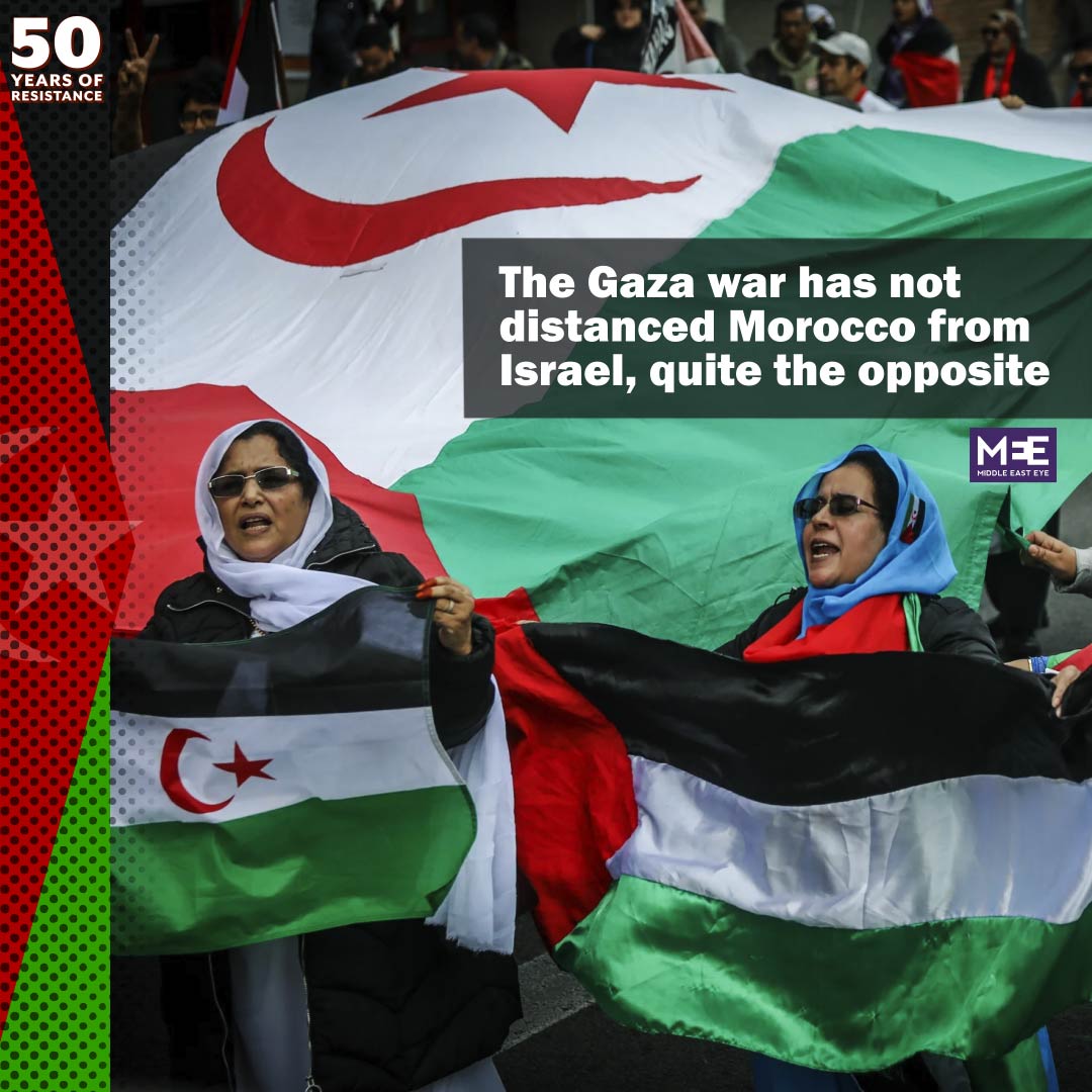 US for a Free Western Sahara tweet media