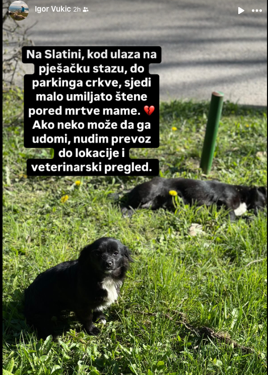 igor_kalaba's tweet photo. https://t.co/pipWR8feYU