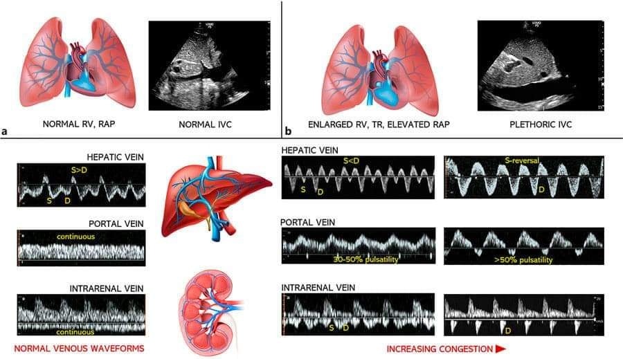 The Heart tweet media