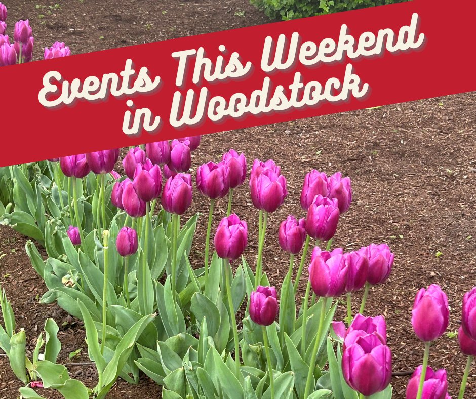 What do mini golf, vinyl records, chili, a farmers market, and The Three Musketeers have in common? They’re ALL happening THIS WEEKEND in Woodstock! 🎉
Head to 👉 realwoodstock.com/events/ to craft your perfect weekend lineup!
#WoodstockIL #RealWoodstock