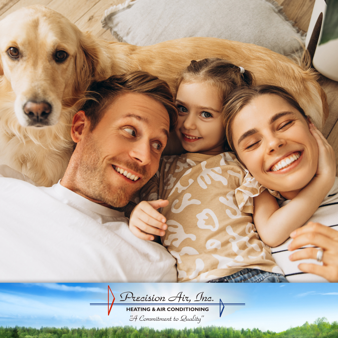 PrecisionAir_NJ's tweet photo. Mold and bacteria can thrive inside your HVAC system, spreading contaminants into the air you breathe!

Protect your home and family with a whole-house air purification system from Precision Air. 

Learn more here: https://t.co/tyOBqPqBYI

#AirPurification #CleanAir #HealthyHome https://t.co/YYLVIOcxF7