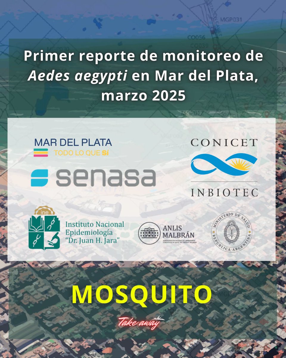 InbiotecConicet's tweet photo. 🤝 Participan de este trabajo: INBIOTEC-CONICET, Instituto Nacional de Epidemiología “Dr. J. H. Jara”, Municipalidad de General Pueyrredon (EMSUR, CEMA, Dirección de Gestión Ambiental, Control de Plagas), Museo de Ciencias Naturales “Lorenzo Scaglia” - EMTURYC y SENASA. https://t.co/UHp7O93LFa