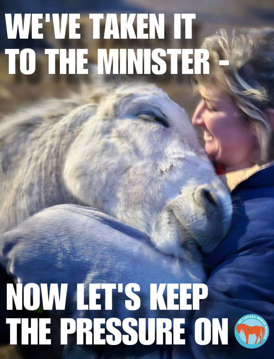 MyLovelyHorseR's tweet photo. SUPPORTER UPDATE-THANK YOU ❤️

🤬🤬ENOUGH IS ENOUGH🤬🤬

We want to say a big thank you to everyone who’s been standing with us and raising their voices about the ongoing Animal Welfare Crisis.

On 10/04/2025, we sent a formal request for a meeting and proposal to Minister of State Michael Healy-Rae T.D. at the Department of Agriculture, Food and the Marine.

We’ve now been told that our correspondence has been brought to the attention of the Minister’s Private Secretary, and the Minister’s office will get back to us as soon as possible.

This progress wouldn’t be possible without your continued support – thank you for always being there. ⭐️
We’ll keep you posted on any updates as soon as we have them.

📢 Please share this post to help keep the pressure on and spread awareness – the animals need us all now more than ever.

#MyLovelyHorseRescue #AnimalWelfare #TogetherForChange

PLEASE DONATE, we need your support 

https://t.co/gBLskZcqPM
❤️❤️