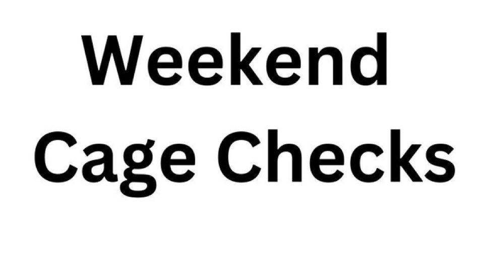 Retweet this if you want a DM cage check this weekend. Reply with a chastity pic if you are locked right now.

I’ll be sending messages to make sure you have your cage on, and maybe some lucky subs will get some special tasks to perform. 

#TeamLocked #GayChastity