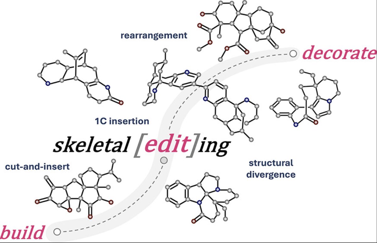 Total Synthesis (@totalsynthesis) on Twitter photo Advancing #TotalSynthesis Through Skeletal Editing by Reem Al-Ahmad (<a href="/reemalahmadd/">Reem Al-Ahmad | ريم الأحمد</a>) and <a href="/MingjiDai/">Mingji Dai</a> at <a href="/EmoryChem/">Emory Chemistry</a> in Accounts of Chemical Research <a href="/ACSPublications/">ACS Publications</a> pubs.acs.org/doi/10.1021/ac… Advancing #TotalSynthesis Through Skeletal Editing by Reem Al-Ahmad (<a href="/reemalahmadd/">Reem Al-Ahmad | ريم الأحمد</a>) and <a href="/MingjiDai/">Mingji Dai</a> at <a href="/EmoryChem/">Emory Chemistry</a> in Accounts of Chemical Research <a href="/ACSPublications/">ACS Publications</a> pubs.acs.org/doi/10.1021/ac…