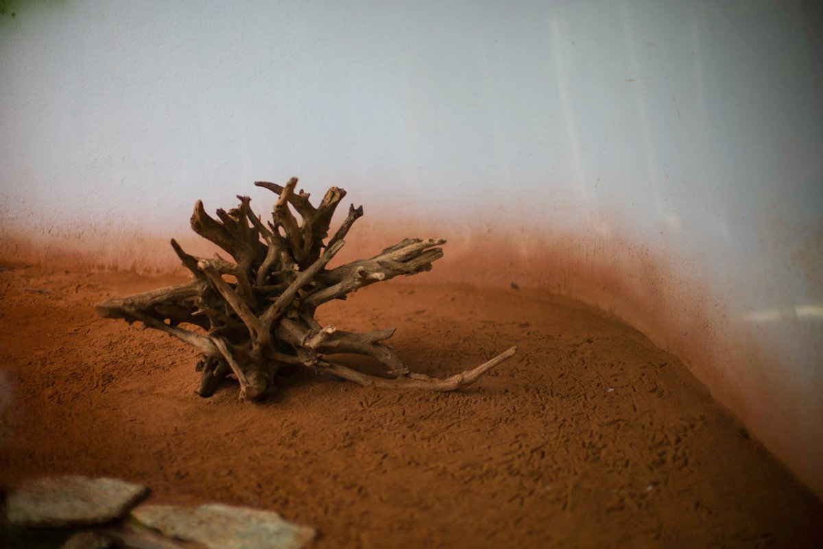 Witold Riedel 李威途 tweet media