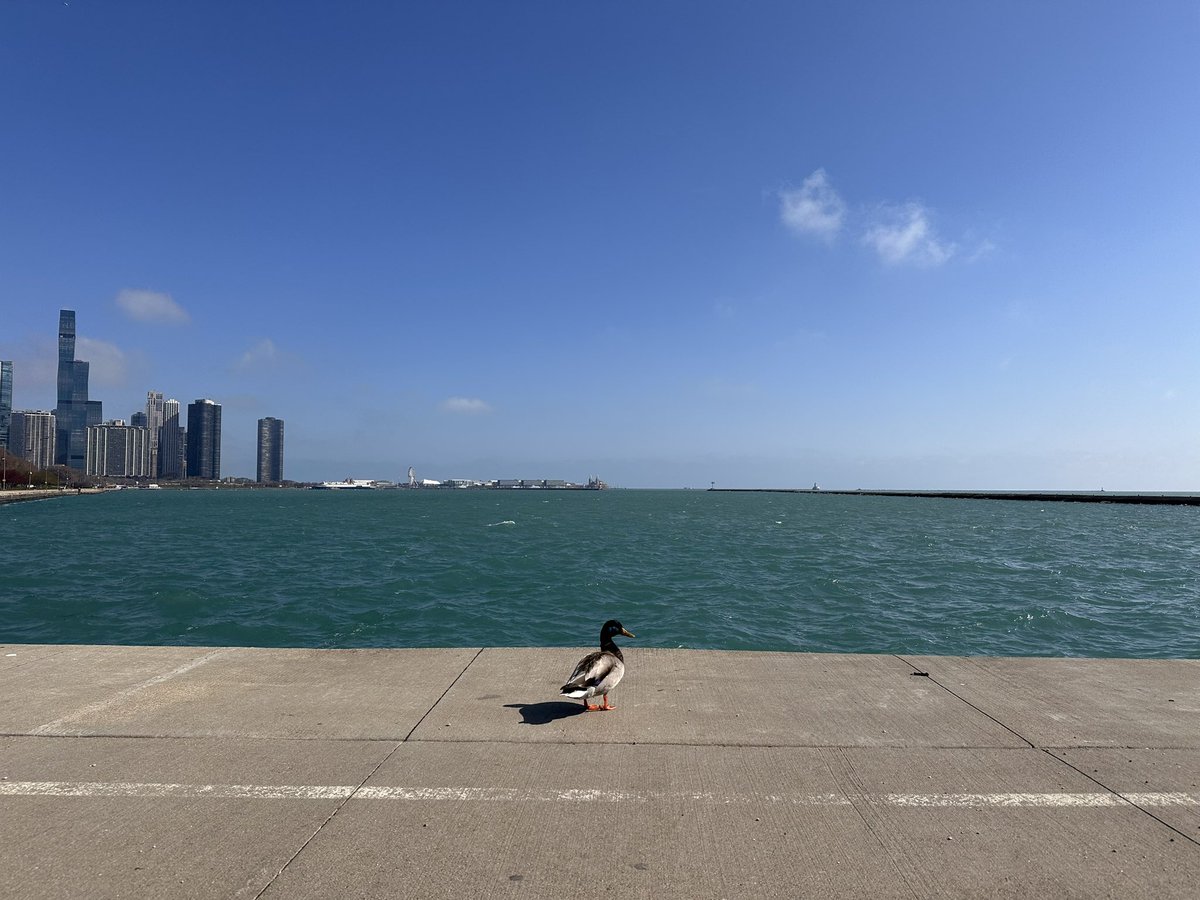 Last night. Was. Wild. What a crazy, hilarious, killer night of magic and laughter. Thank you Critters. Thank you, Chicago. #CriticalRole