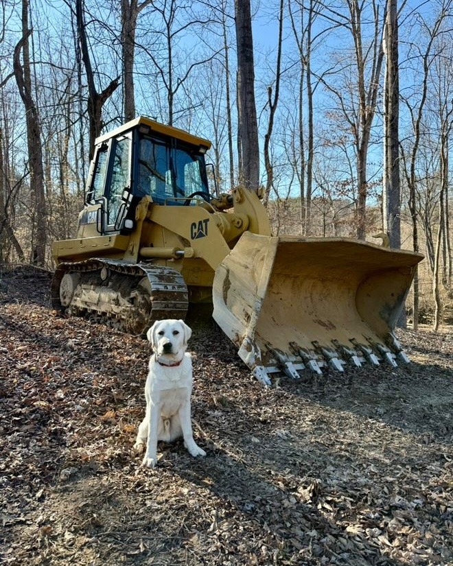 BlanchardCat's tweet image. 🎉🐾 This special #GoodBoyFriday, we're doubling the fun because it's also National Pet Day! Show some love to your furry friends and celebrate the joy they bring into our lives. Share your cutest pet and Blanchard/Cat moments with us in the DM's for a chance to see them on our
