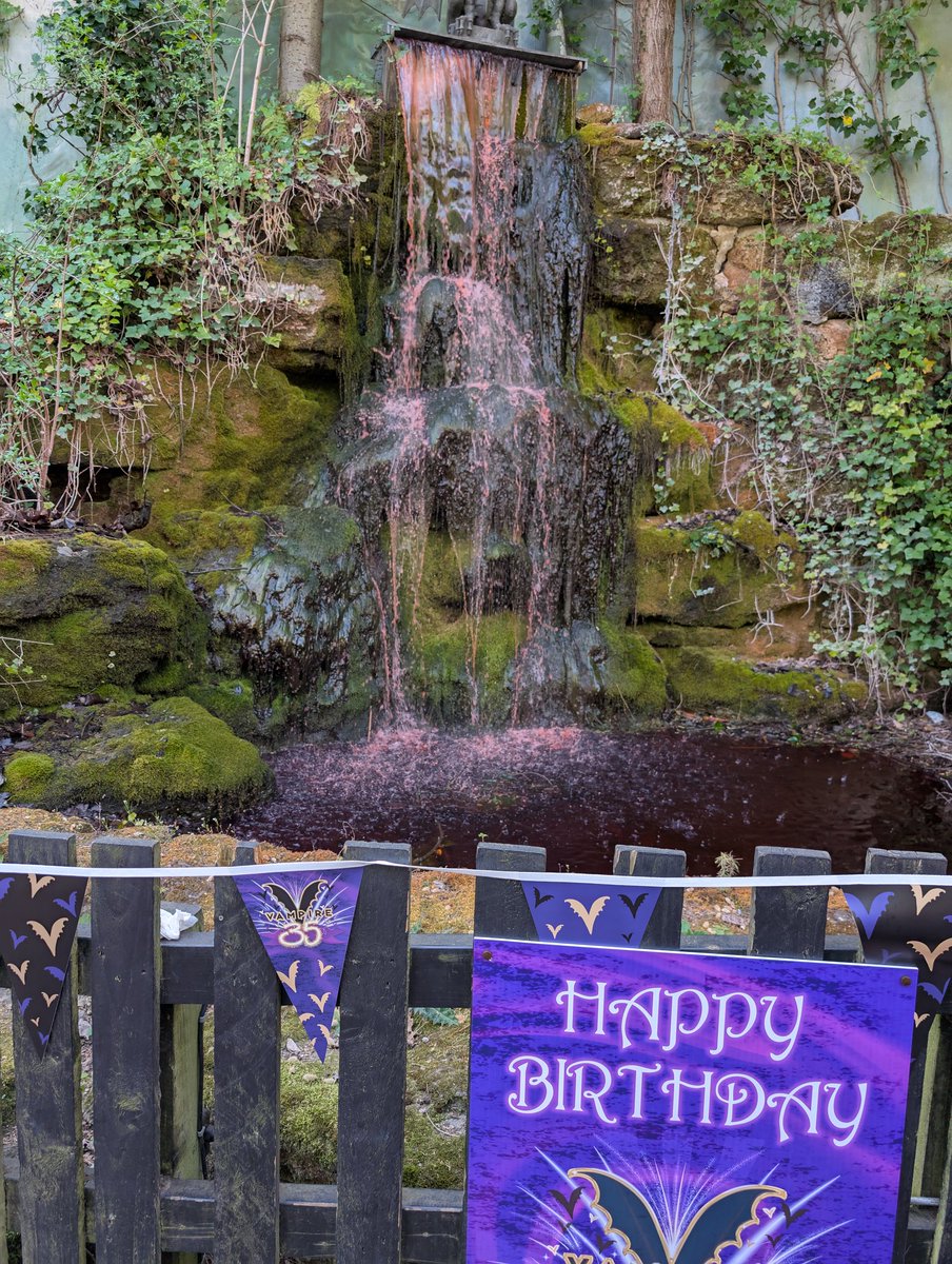 ChessingtonBuzz's tweet photo. Sign the birthday card!
#Vampire35
#VIPExperienceBTS https://t.co/ii5db6jl7m