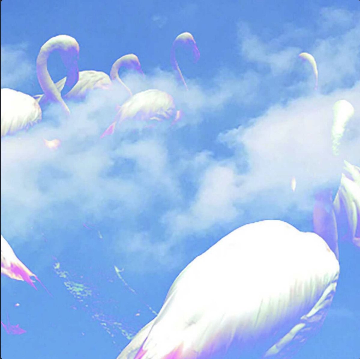 everdayLPEP's tweet photo. Day 103# today's album 

Kaoscitron - Merzbow

Spotify:https://t.co/3s8saBh802

Deezer:https://t.co/q8sIrK16oD

Ytmusic:https://t.co/sI5XhKRCF8

Obrigado @goadonn https://t.co/2qTsCsSHLj