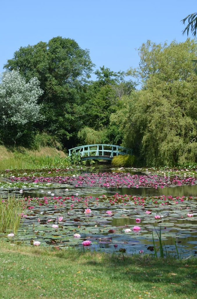 siriince's tweet photo. Monet’in evinin onun sanatına ilham olduğunu öğrendiğimden beri her tablosuna çok farklı bakıyorum. 
*
Since I learned that Monet's house inspired his art, I look at each of his paintings very differently. https://t.co/sKw1RGlv22