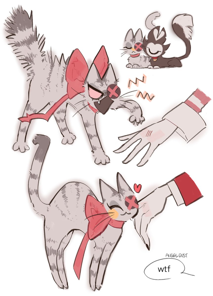 #ChaggieWeek2025
가볍게